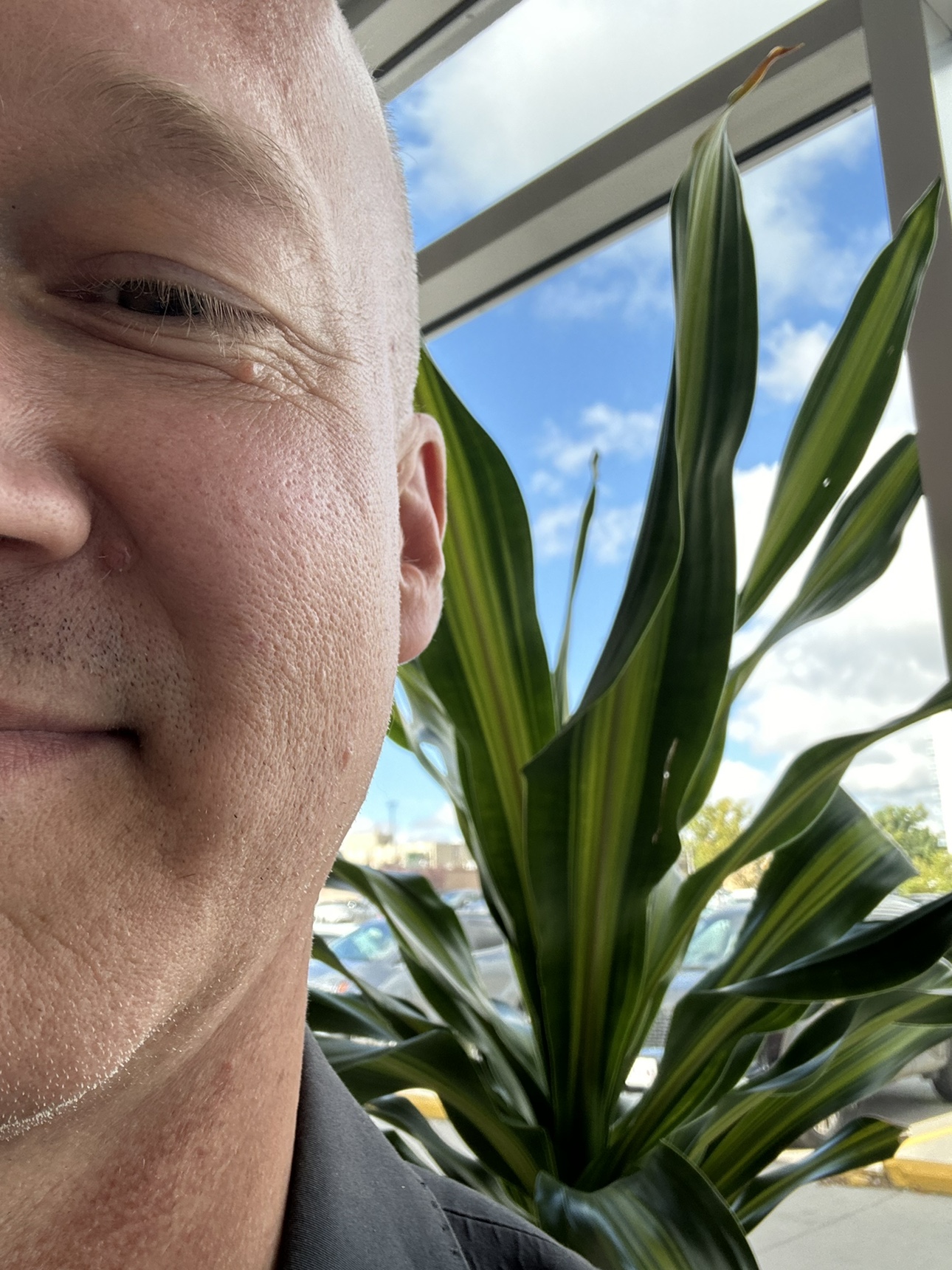 Cory Friesen profile