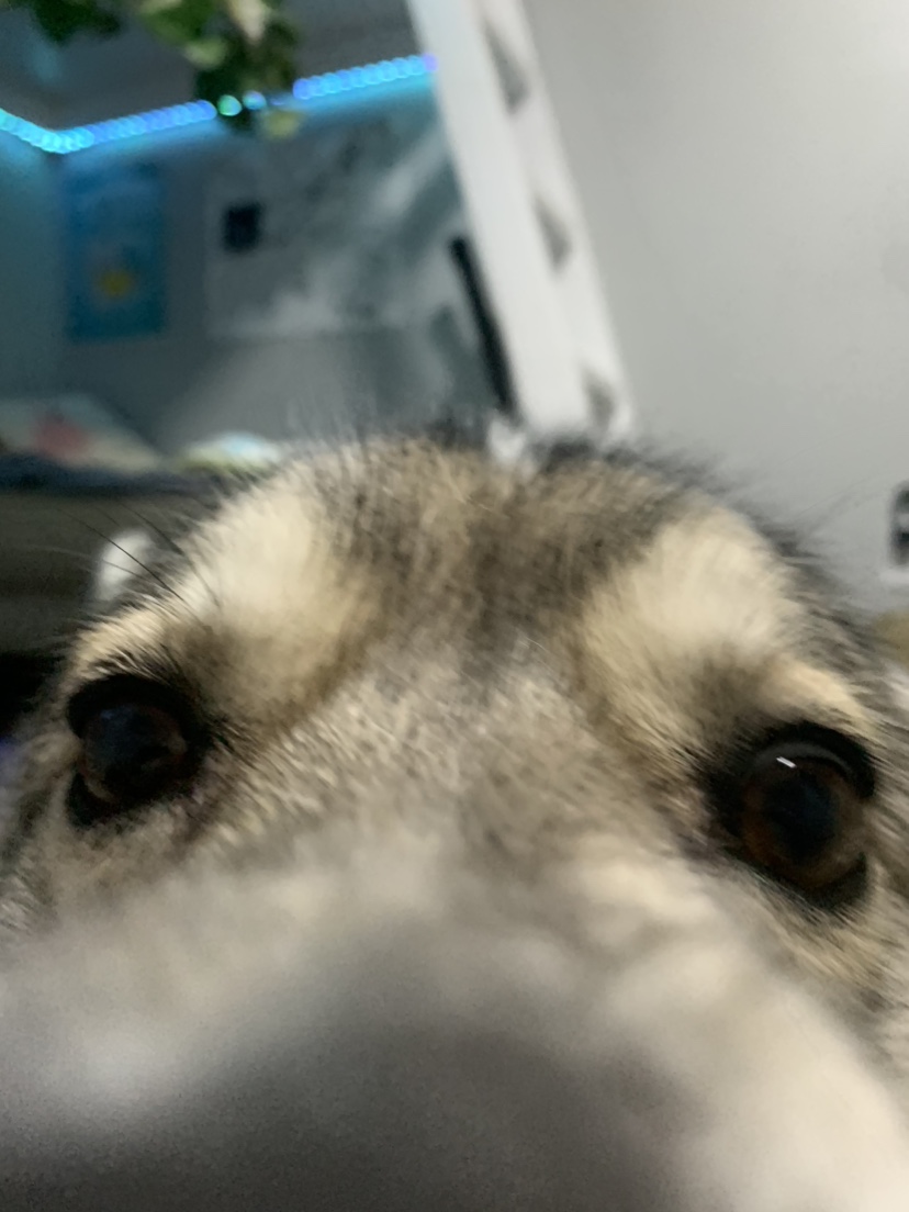 Izzy profile