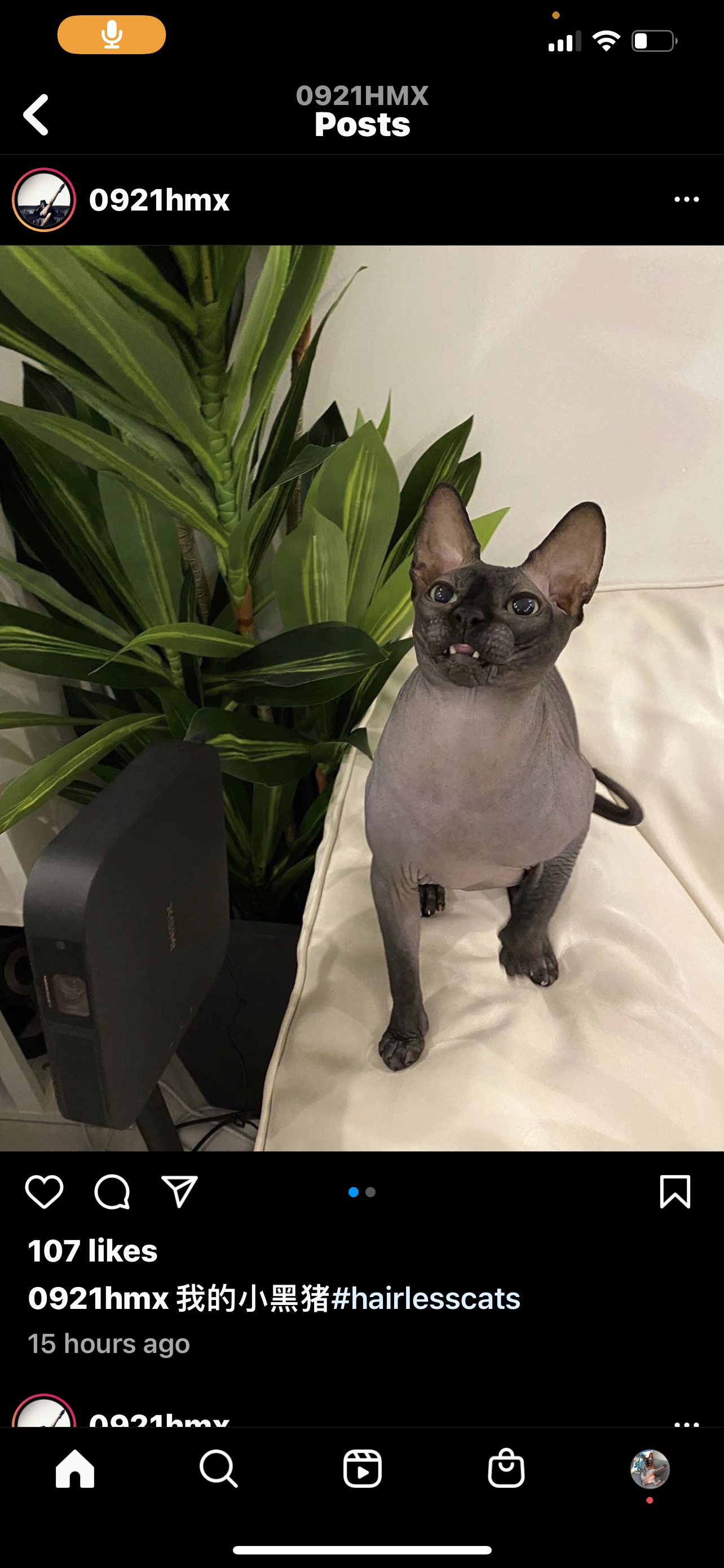 H H profile