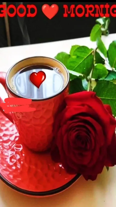 ALIYA ZEESHAN profile