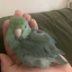 Anita profile