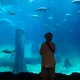 Kevin profile