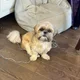 Slava profile