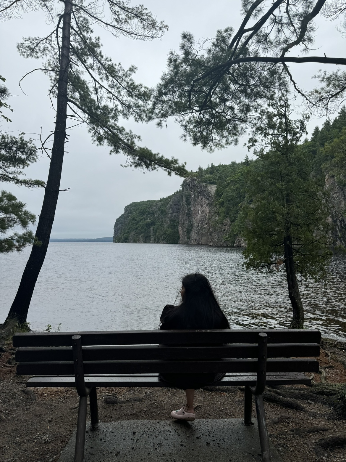 Chauhan profile