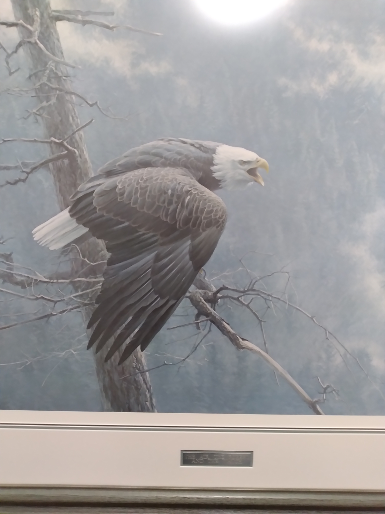 Albert Tropea profile