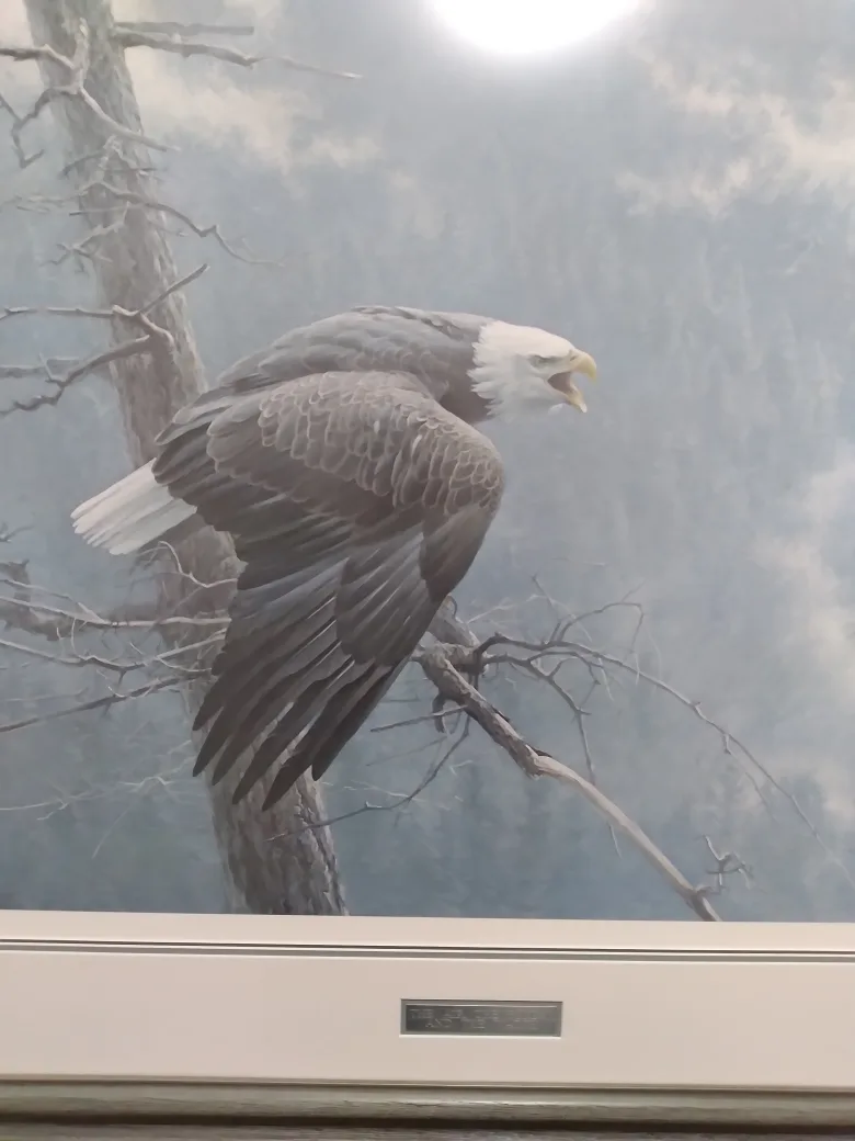 Albert Tropea profile