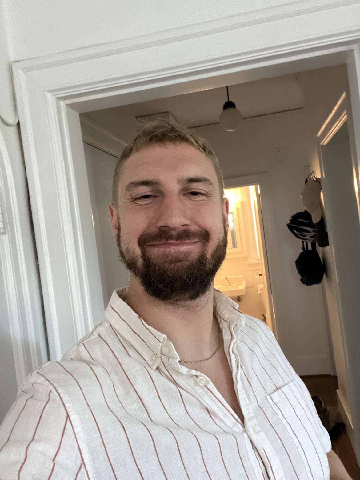 Dev profile