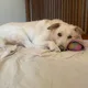 Gina profile
