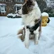 Jorge profile
