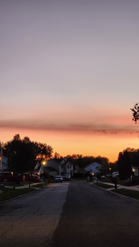 Dimple Cabales profile