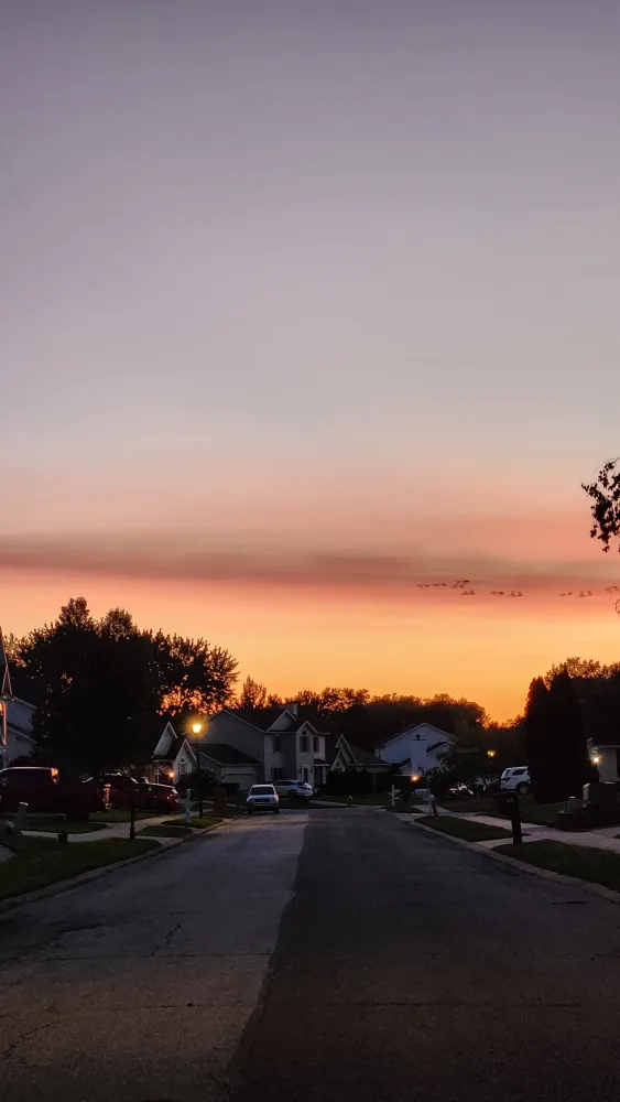 Dimple Cabales profile