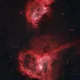OCondlln profile