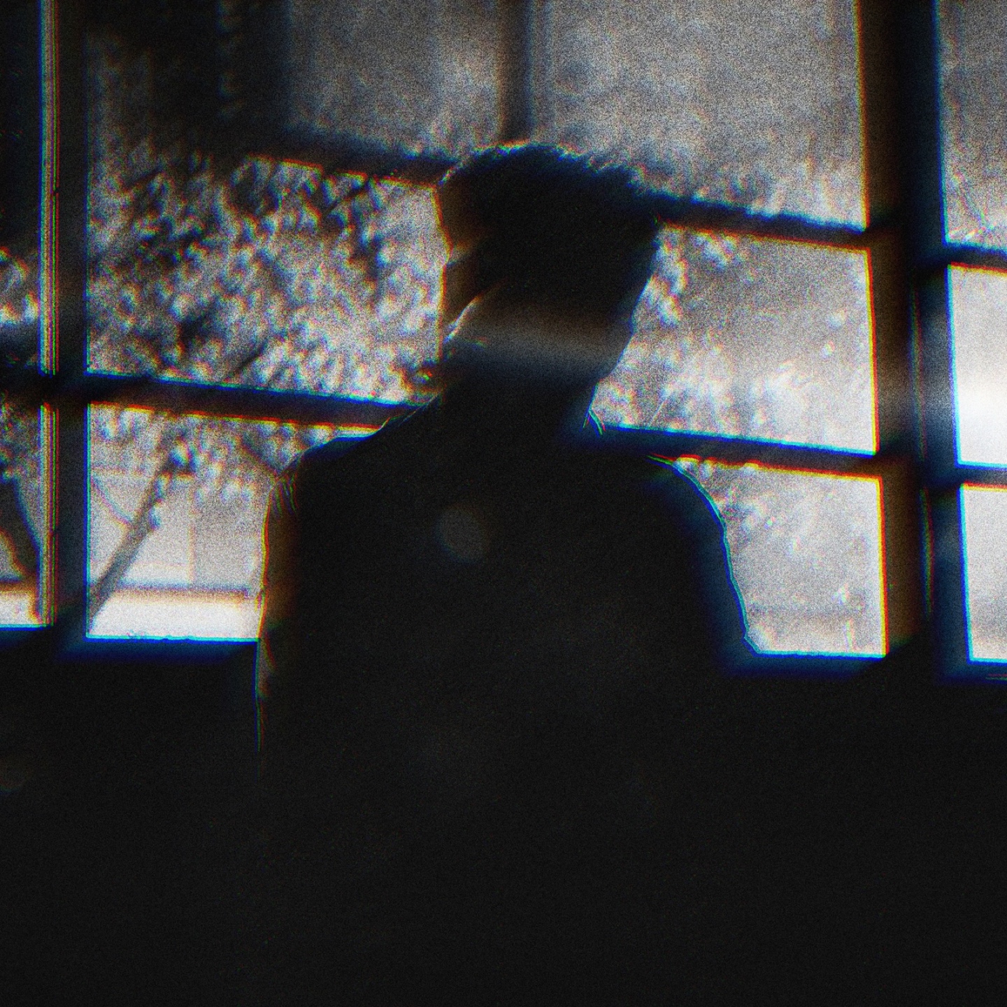 Shariq profile