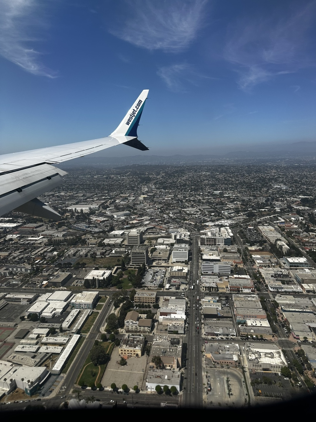 J Dichi profile