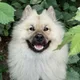 Arlo profile