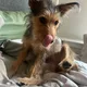 SpookyJoy profile