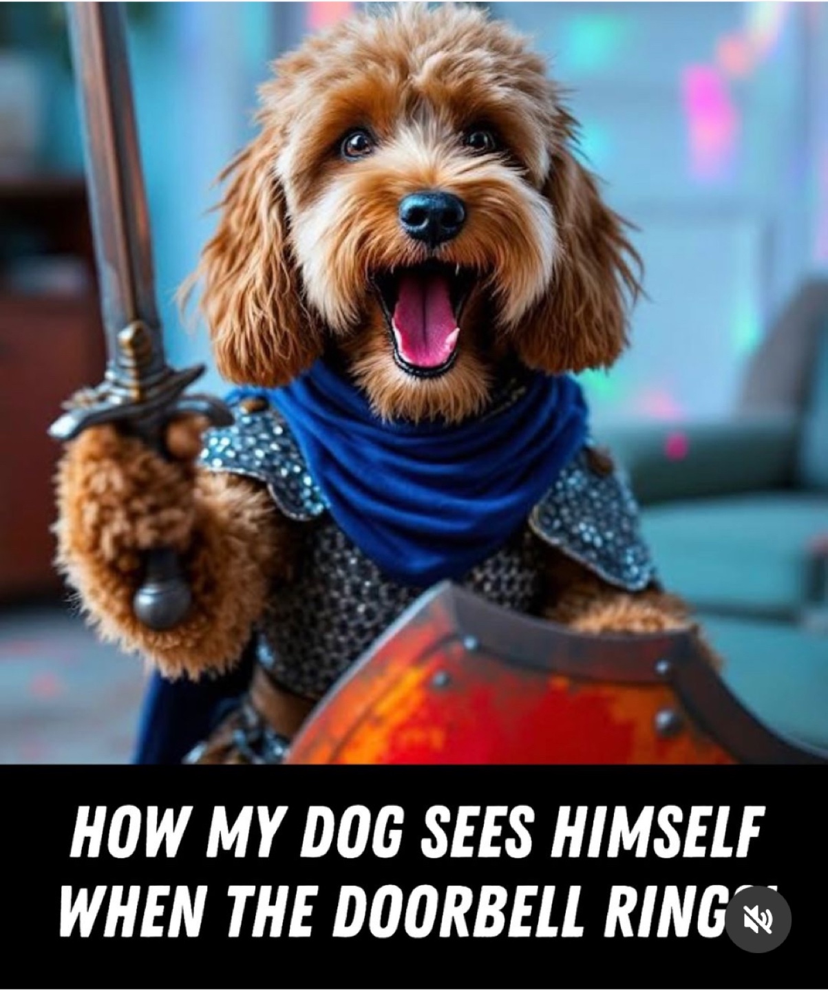 Konrad