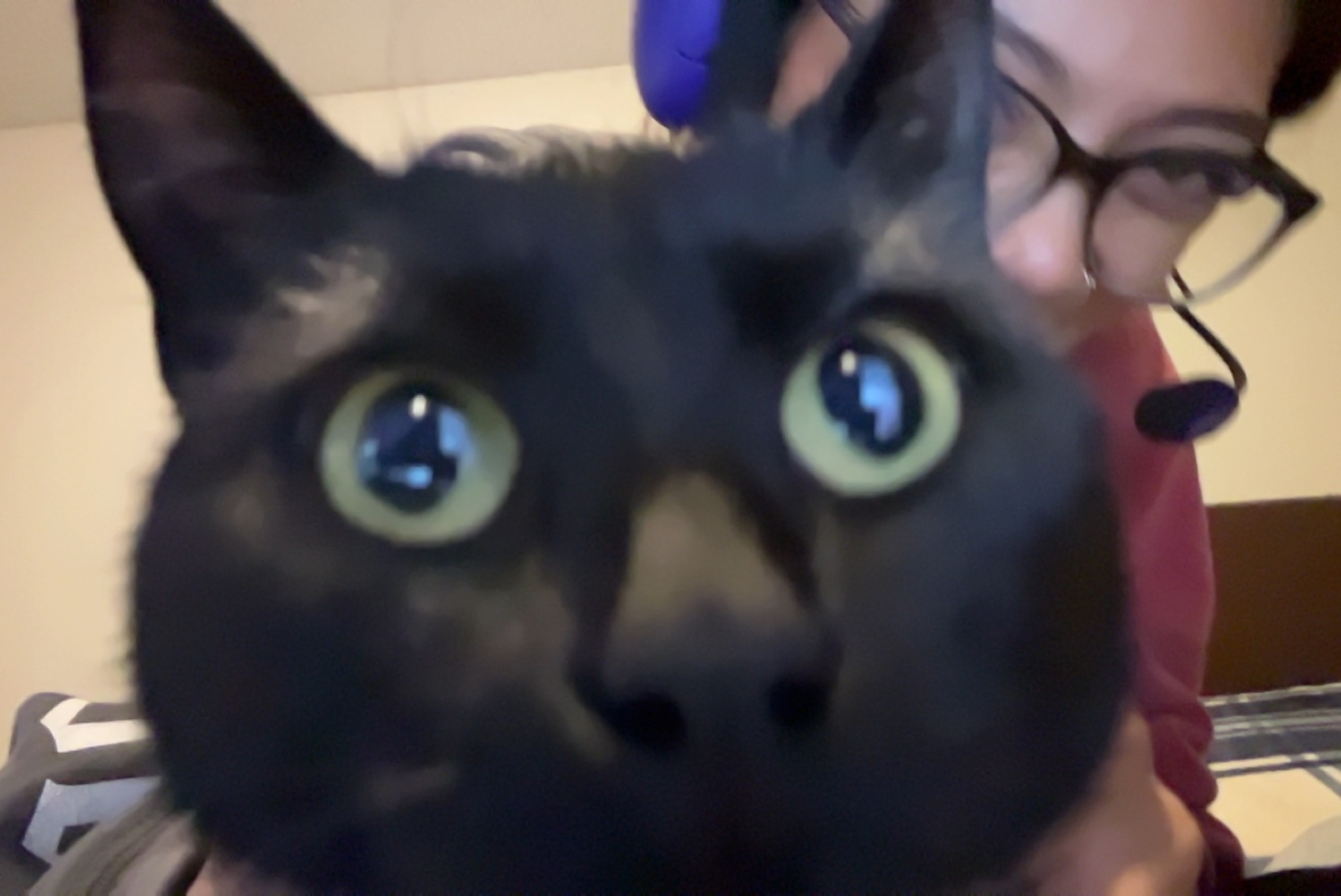 Brandon