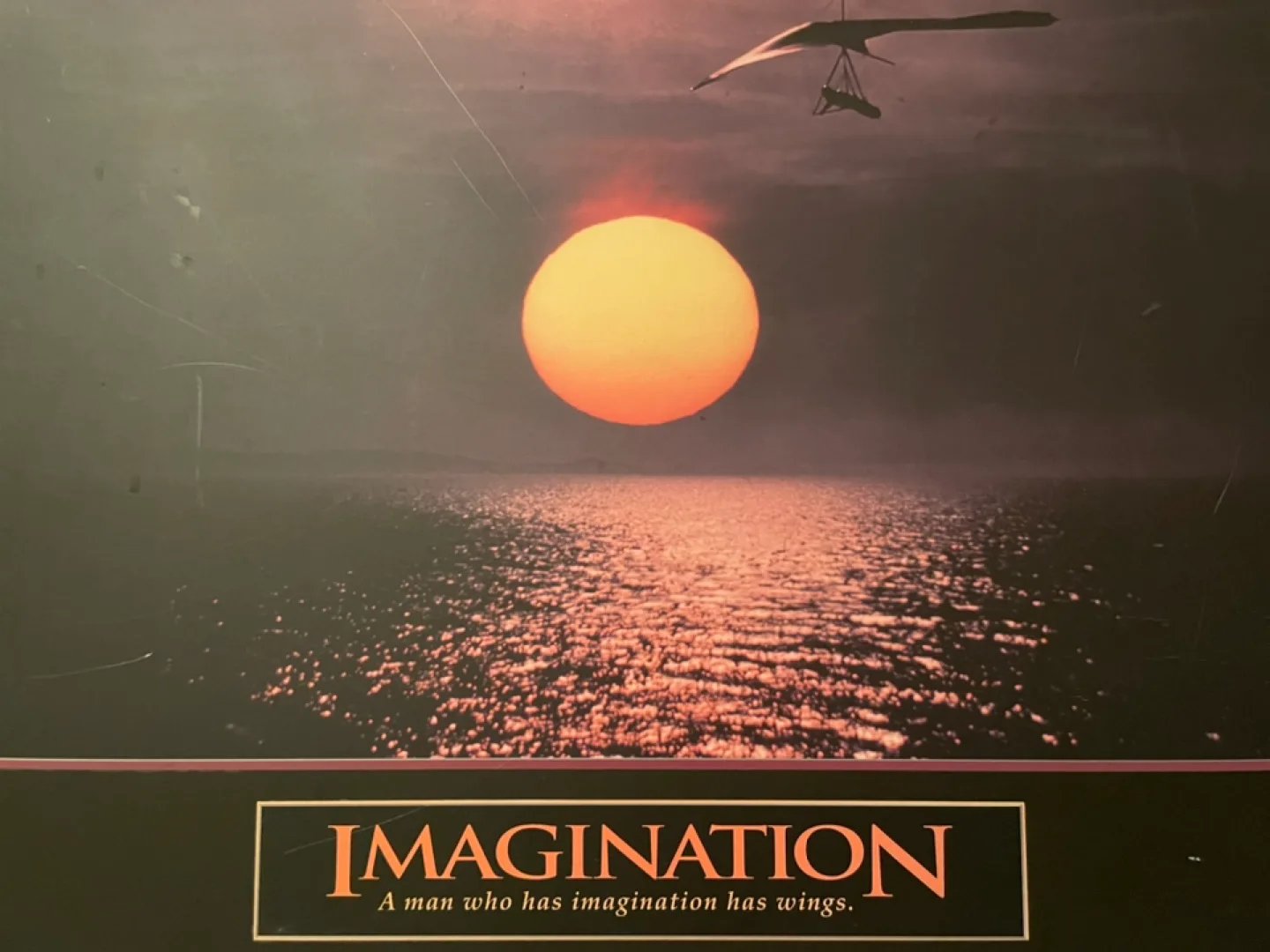 UrgentMOVESaleNOW profile