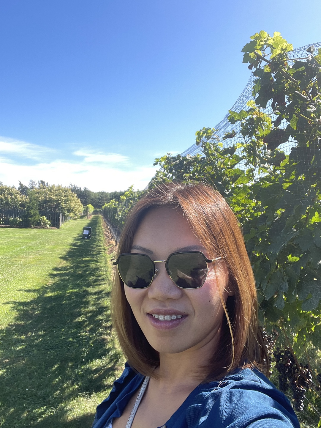 Ivy profile