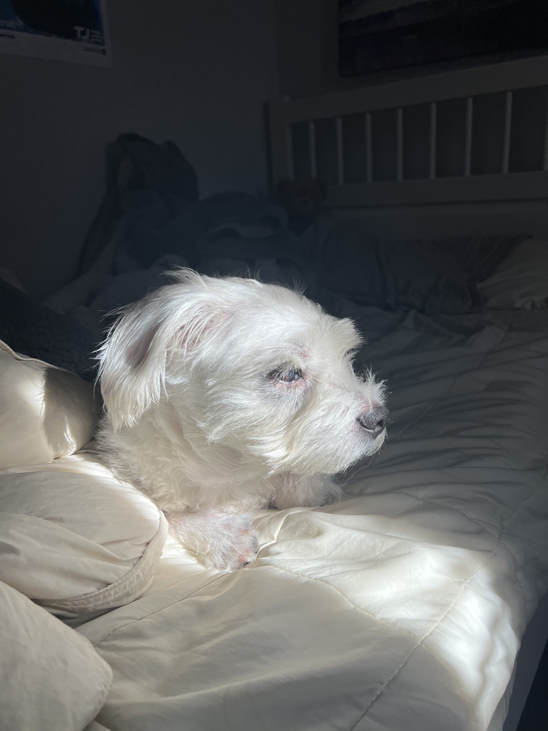 Hannah profile