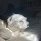 Hannah profile