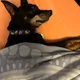 Carly profile