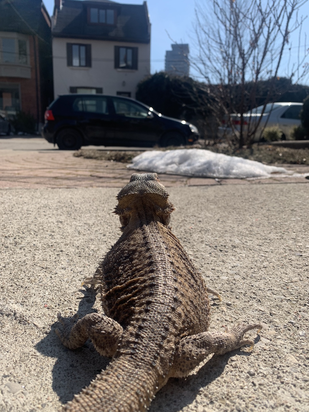 RC profile