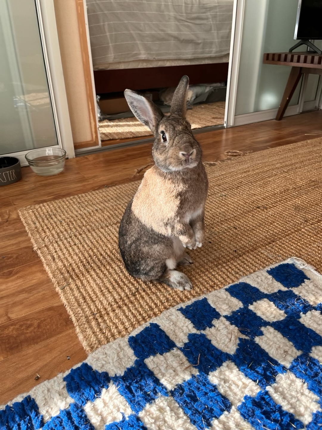 Elliott
