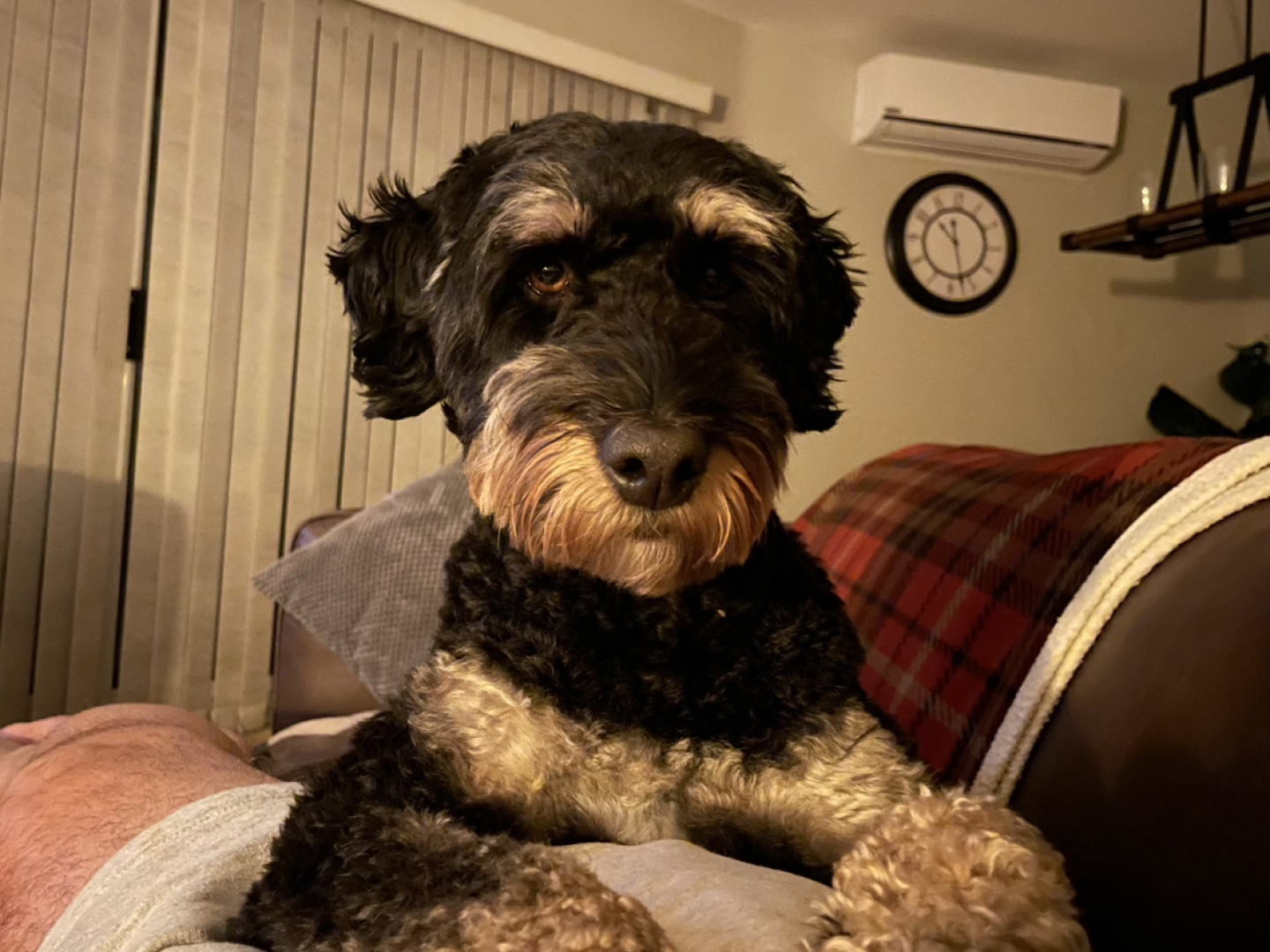 Peter profile