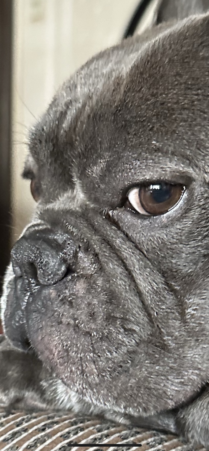 Brian profile