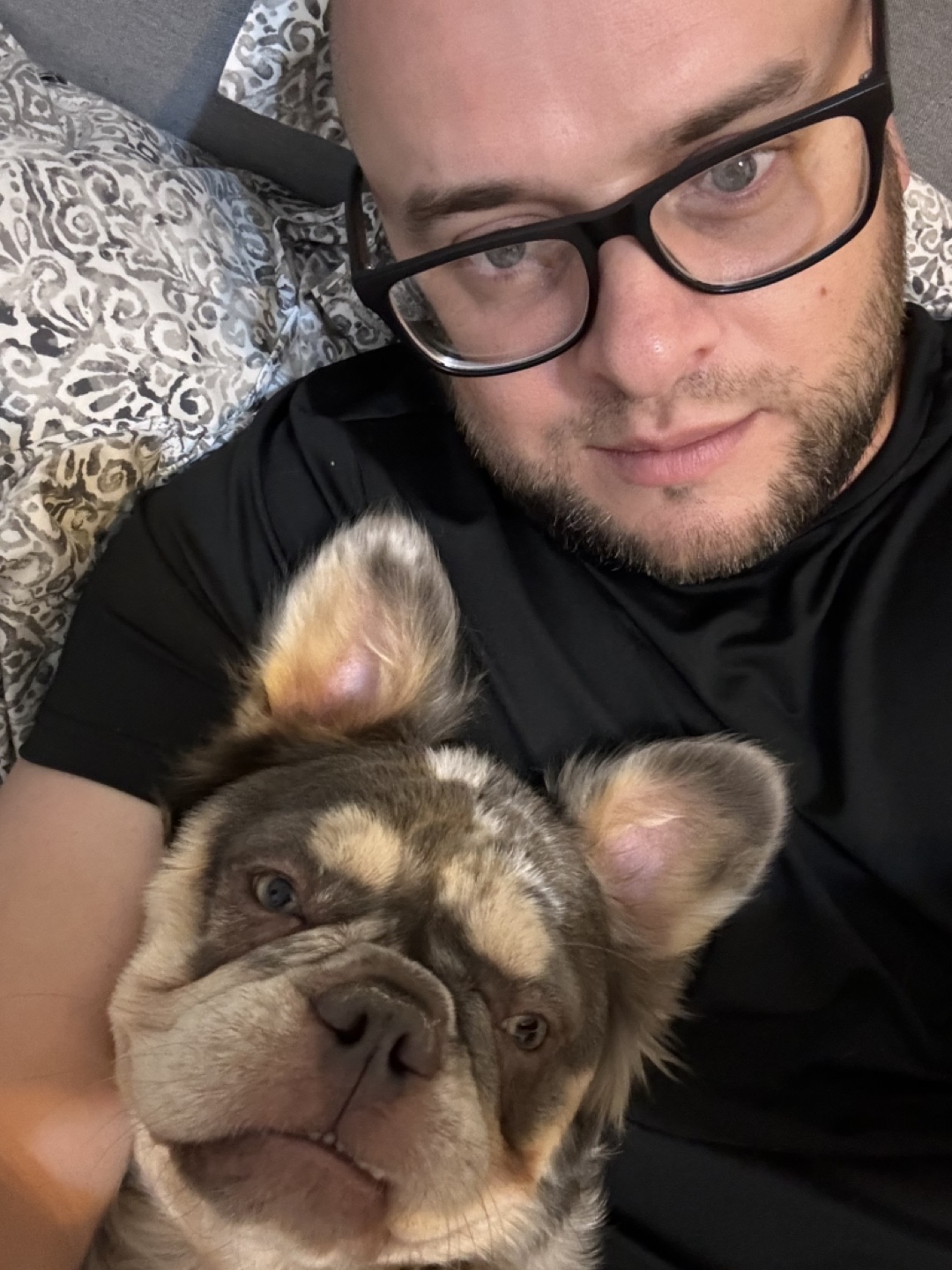 Anton profile
