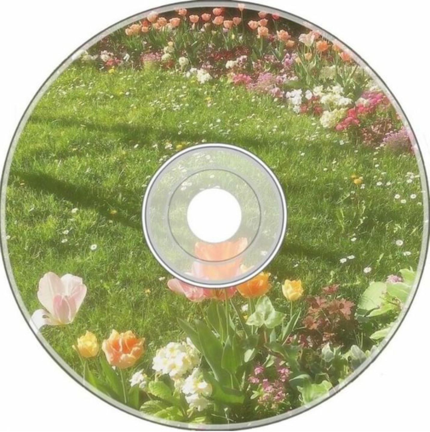 StealsAndDeals profile