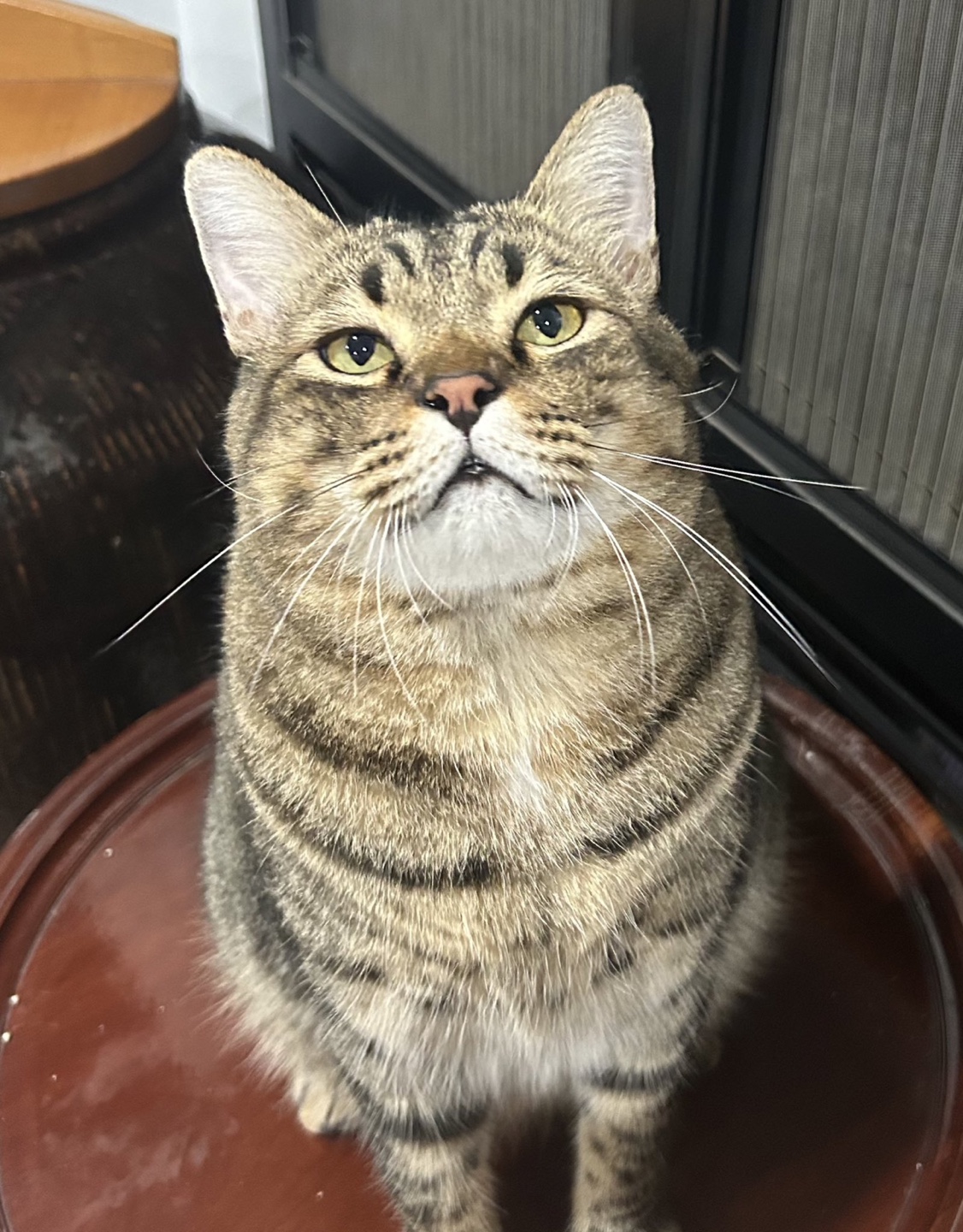 Solli profile