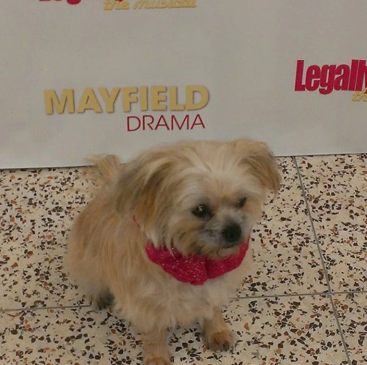 Frankie and Mom profile