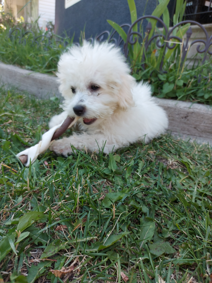 gidget Watson profile