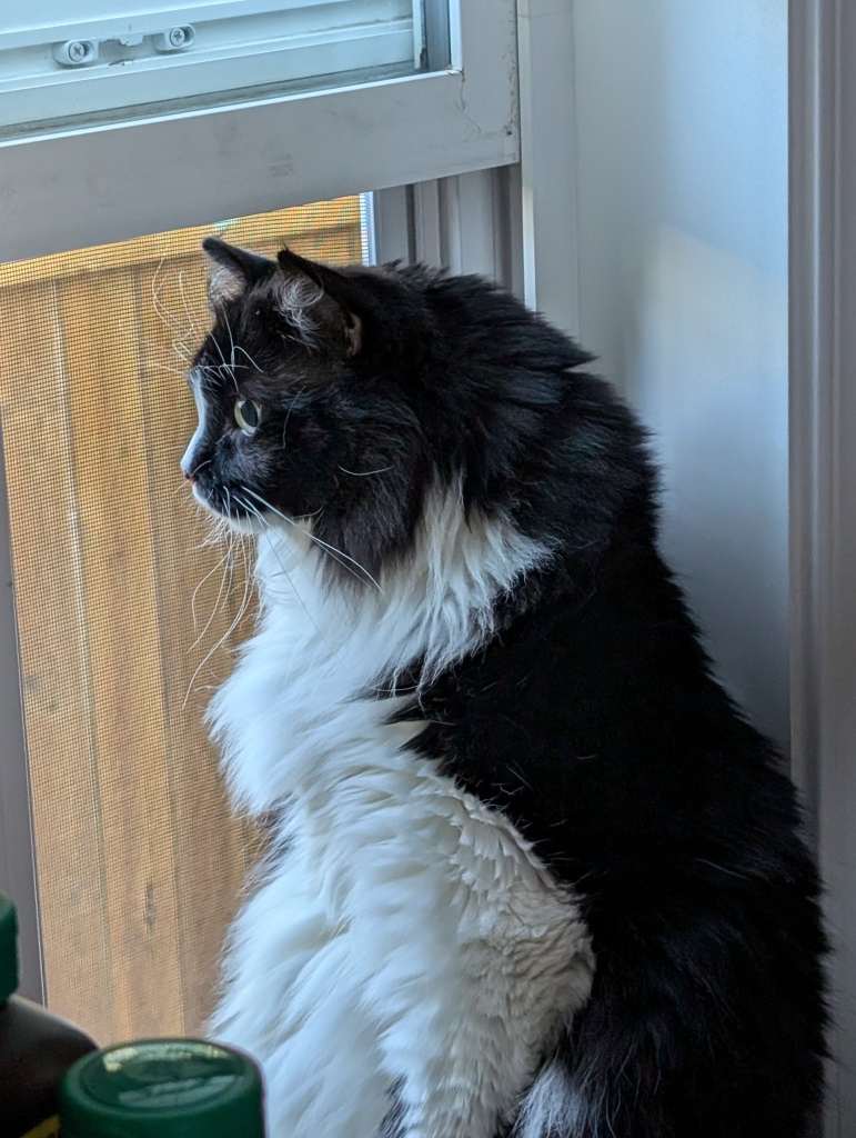 Jamie profile