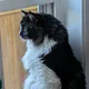 Jamie profile