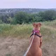 Garrett profile