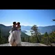 Carsten Jensan profile