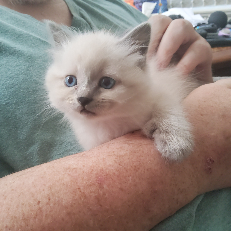 Sandra Van Loo profile