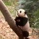 Xikaka profile