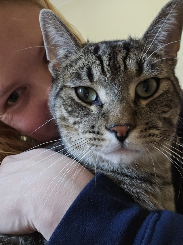 Cat profile
