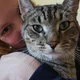 Cat profile