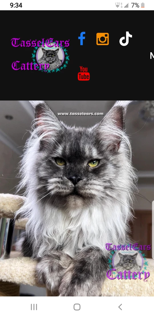 Nan