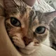 Breanna profile