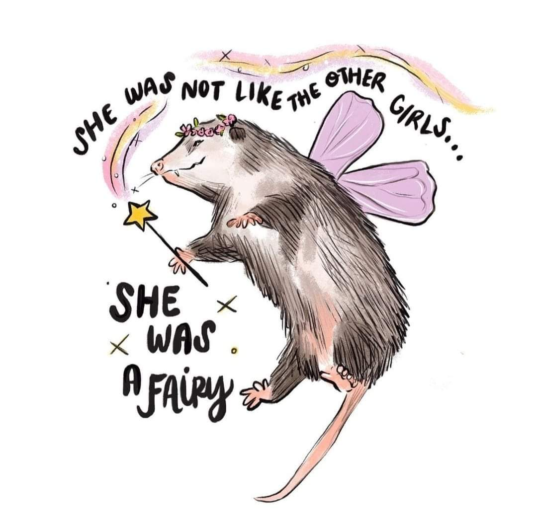 ChambersFamJam profile