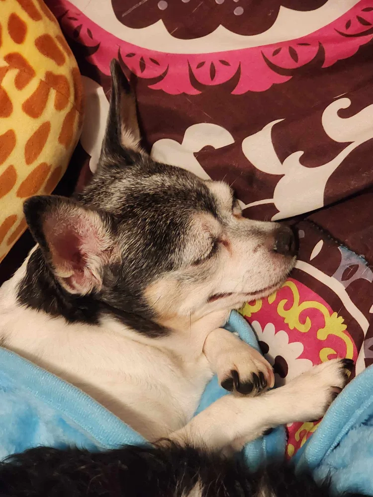 Katherine Marr profile