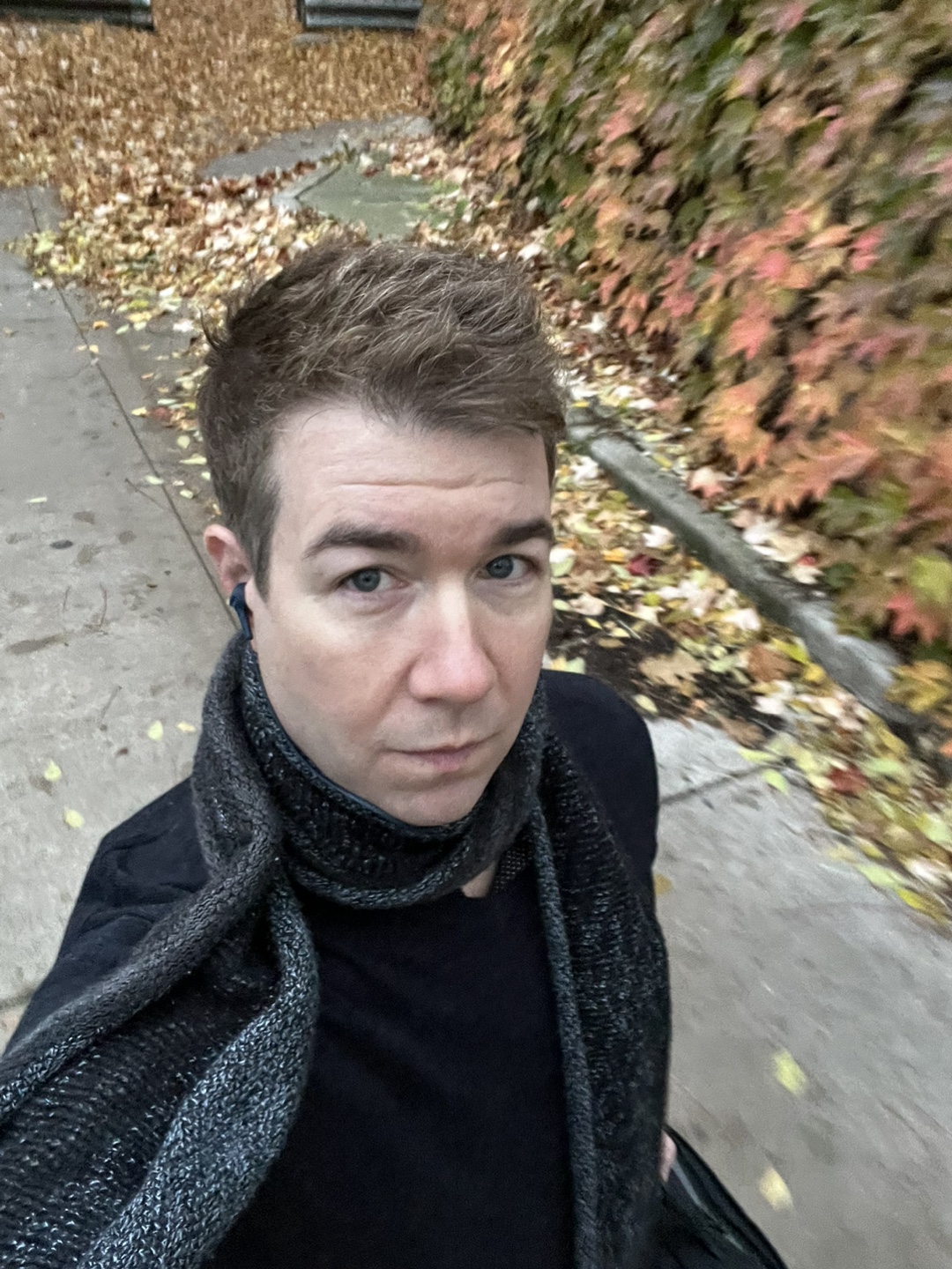 David Edwards profile