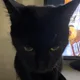 Cleo profile